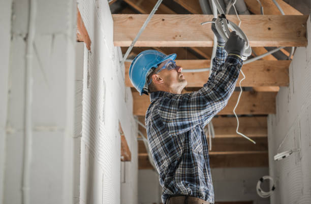 Best Affordable Electrician  in Brushy Creek, TX