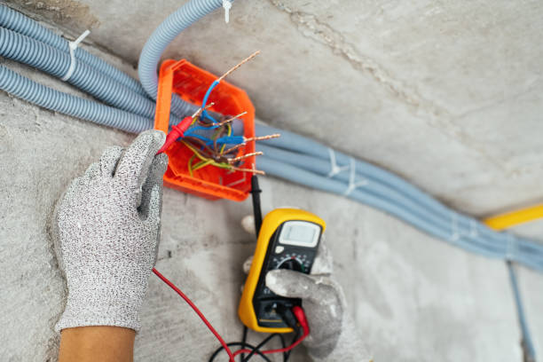 Best Ceiling Fan Installation Electrician  in Brushy Creek, TX